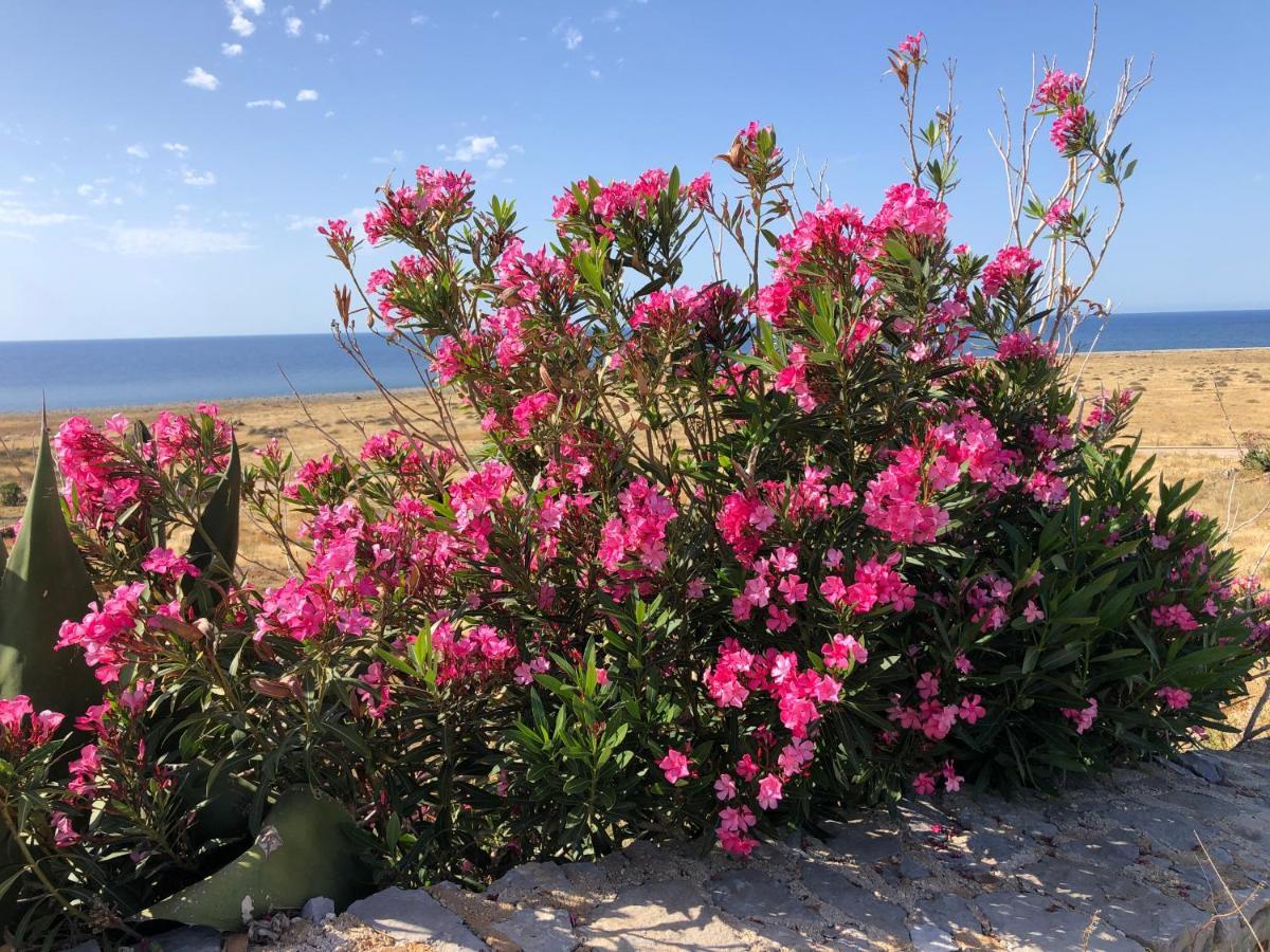Casetta Calamancina San Vito Lo Capo Eksteriør billede