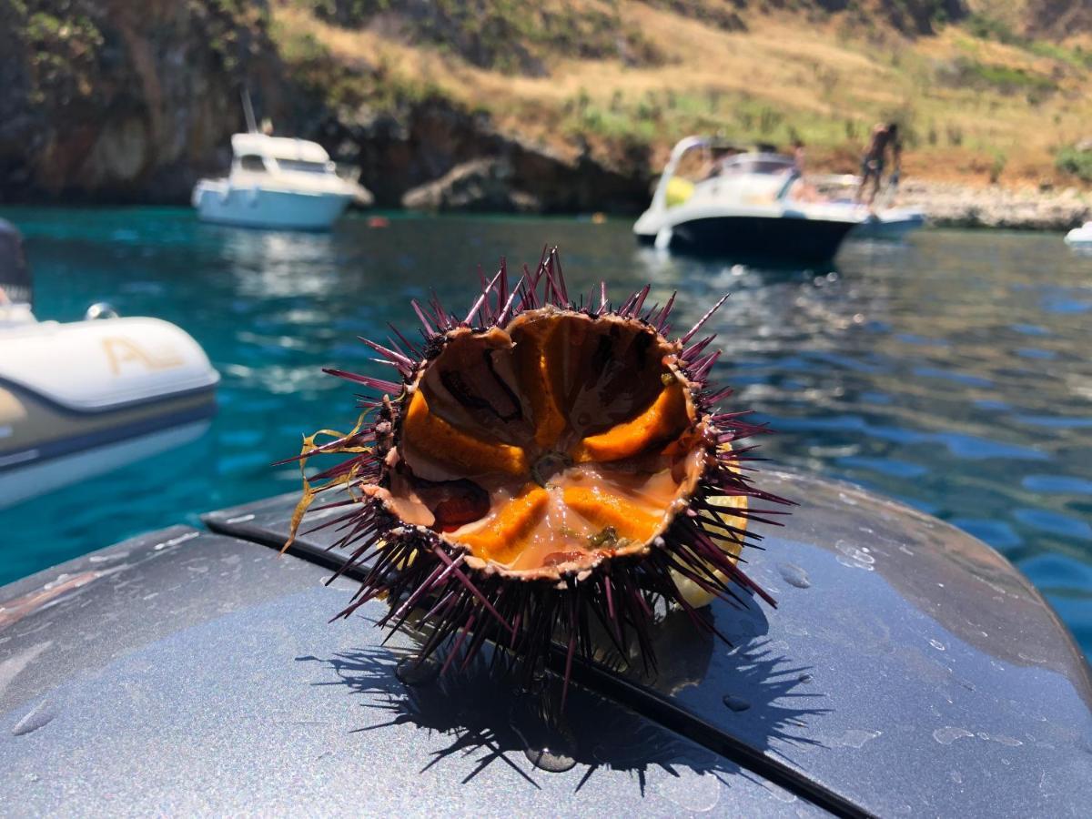 Casetta Calamancina San Vito Lo Capo Eksteriør billede